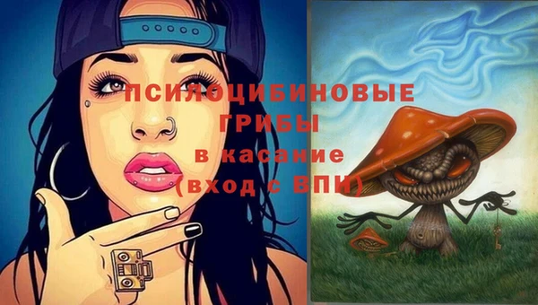 амф Белоозёрский