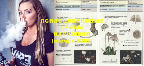 метамфетамин Беломорск